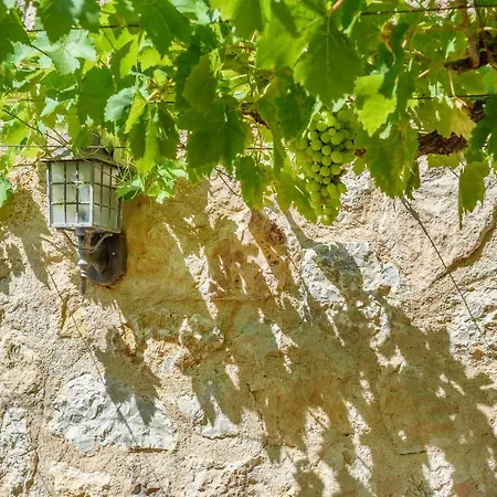 Solivellas Villa Pollenca